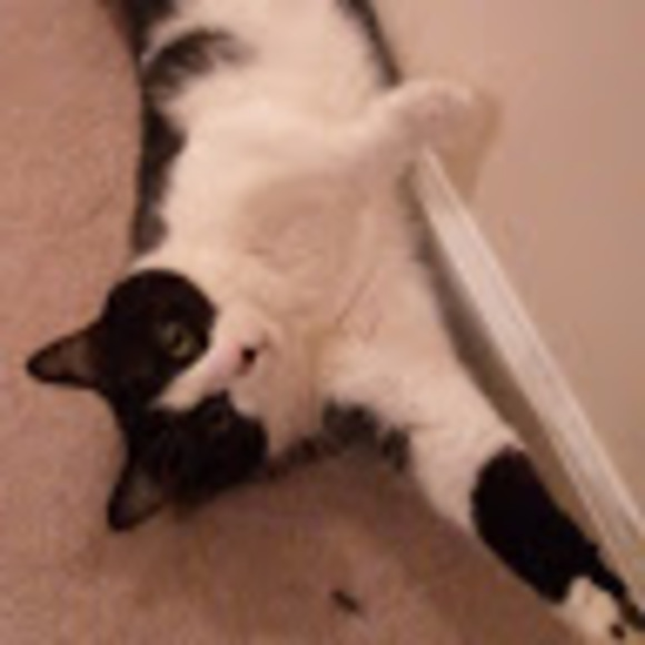 Meet your Posher, Adria - Picture 1 of 1